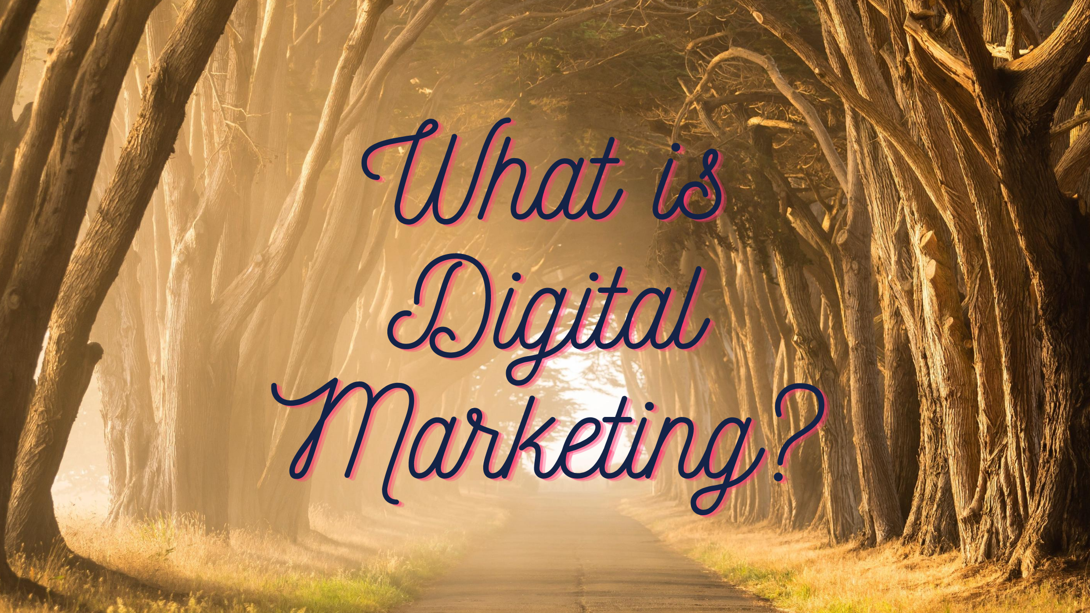 What is Digital Marketing? Your questions explained