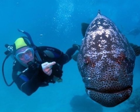 Stephan_and_big_fish_banner.jpg