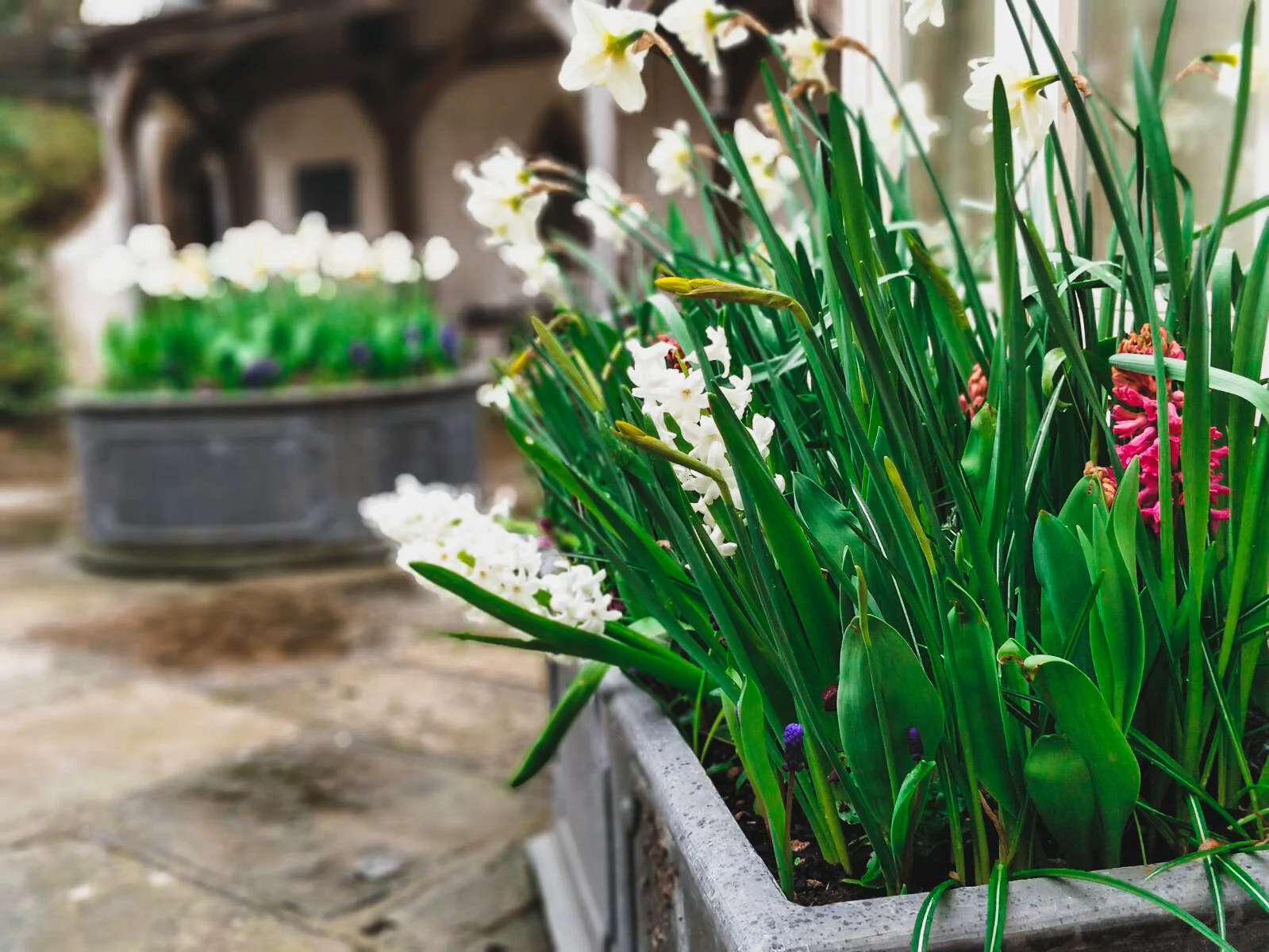Planting — Footprint Gardens