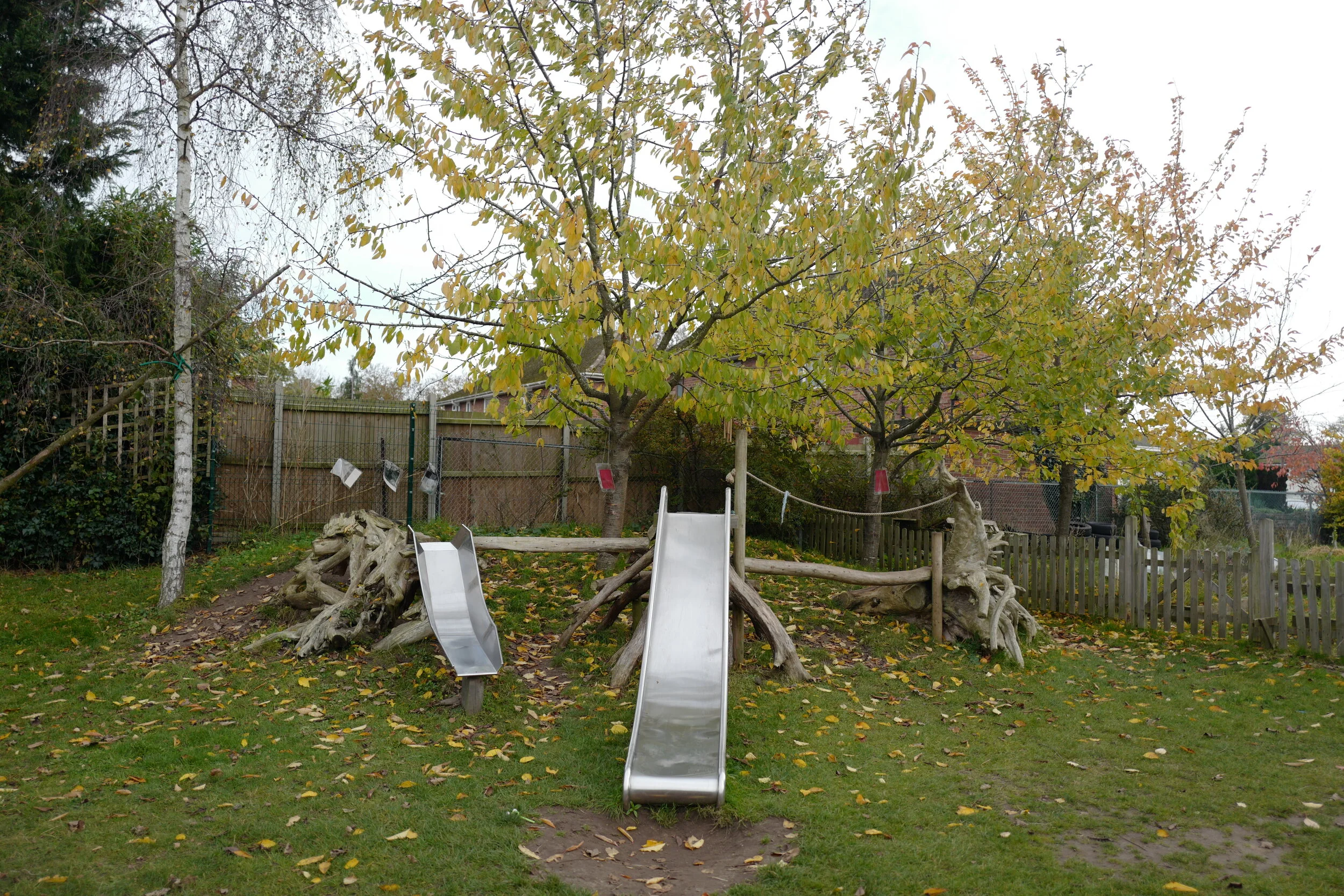 L1060390.JPG