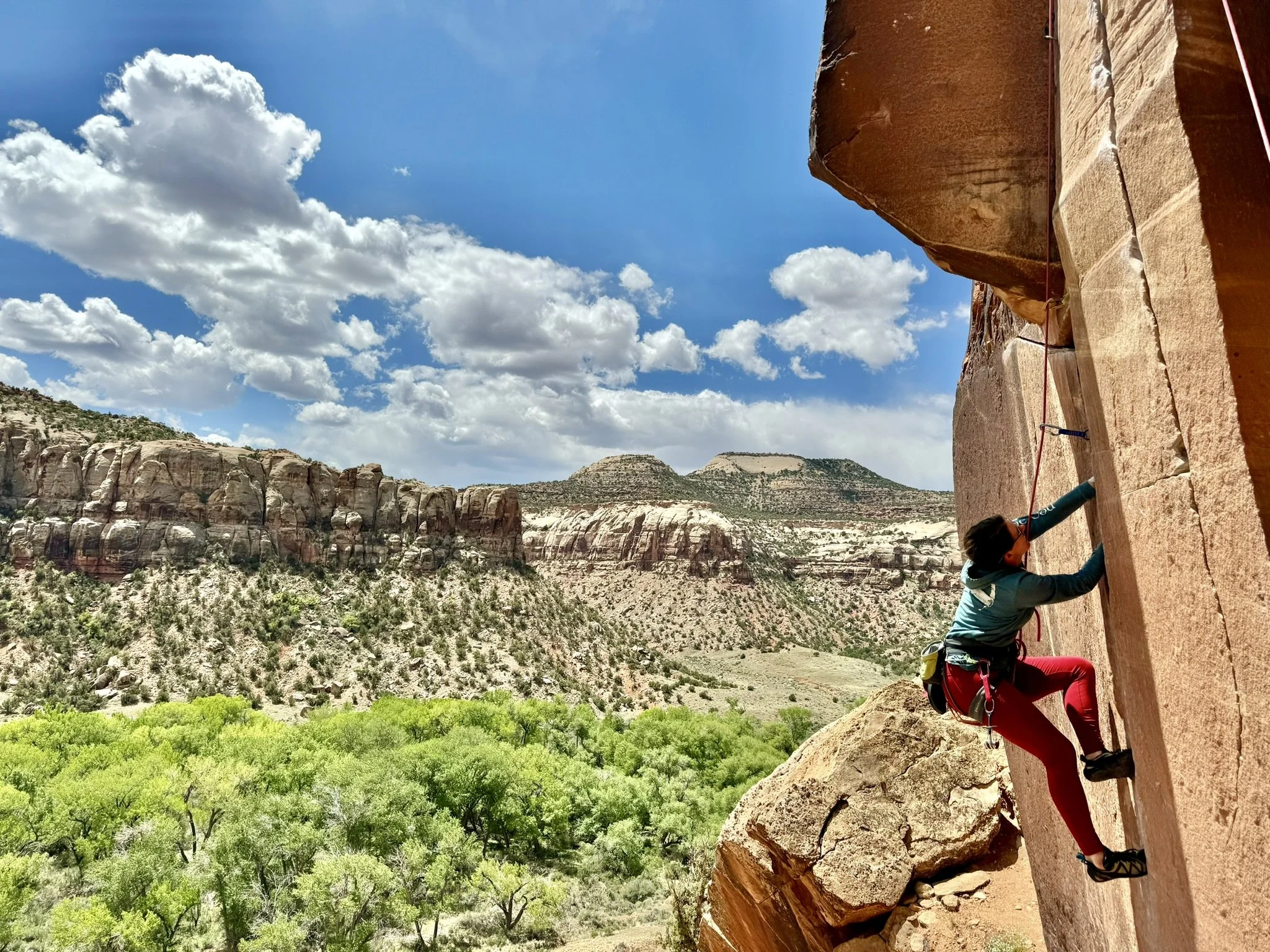 Becky climbing in Indian Creek