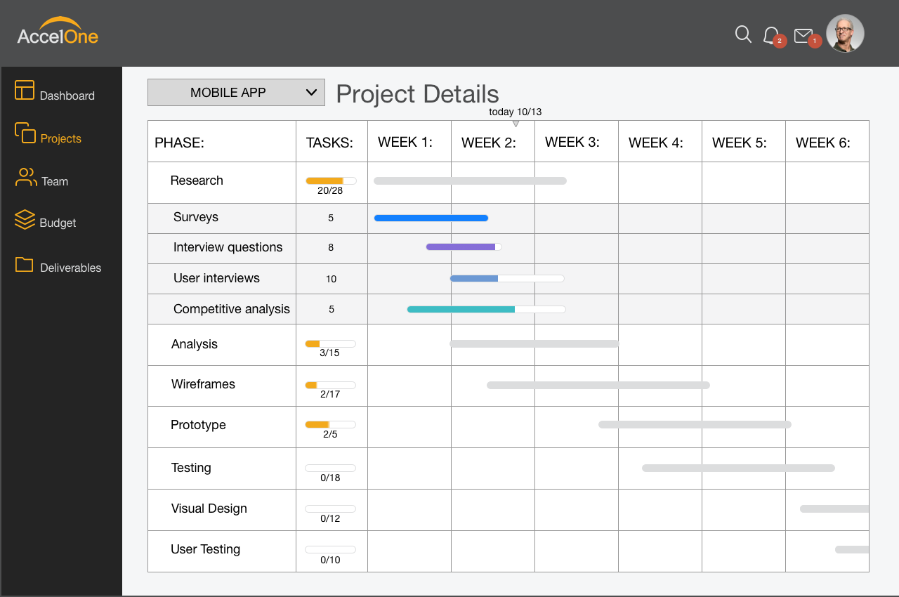 2.1.1-project-detail-open.png