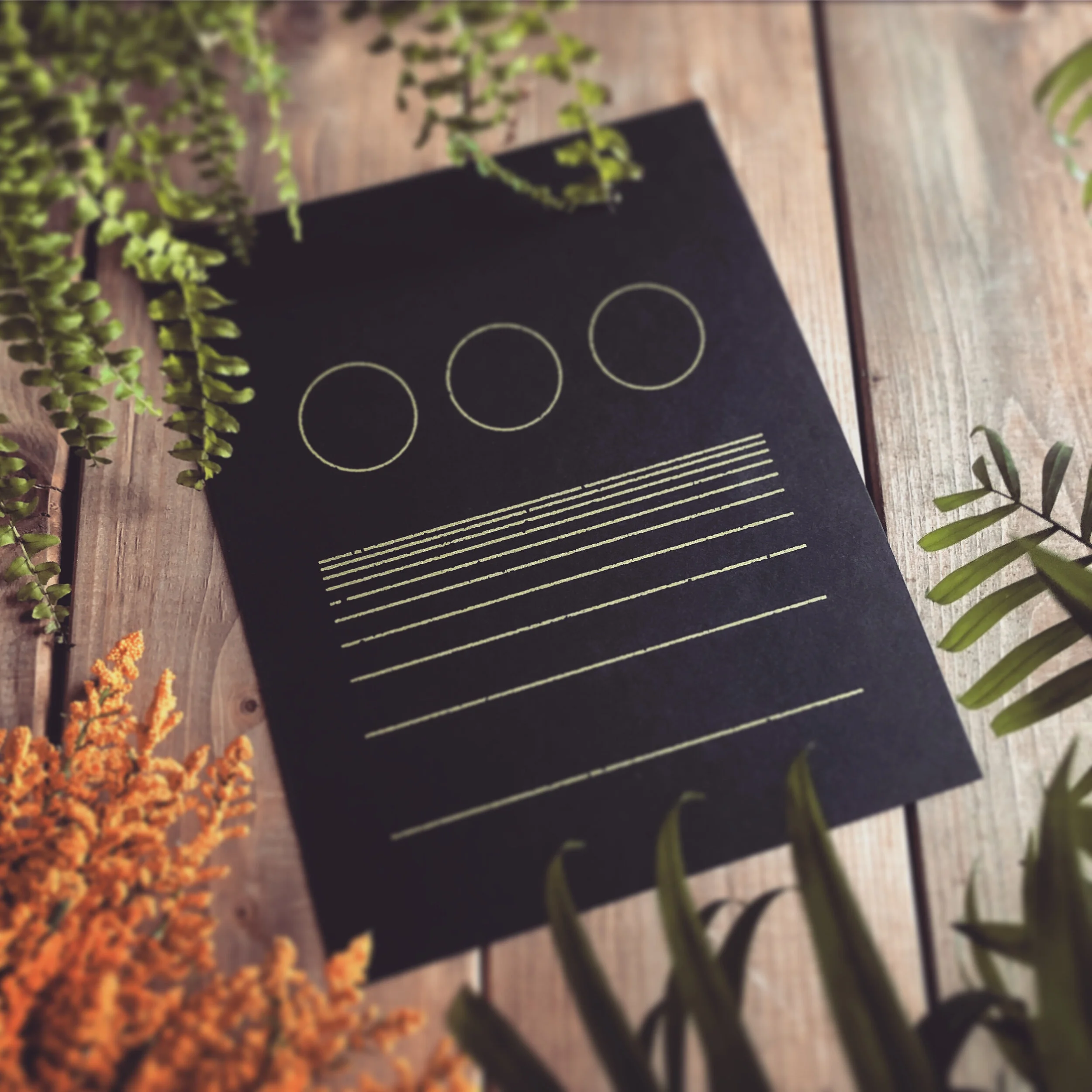 201D403F-62B1-47C0-AF50-3215ABB34298 2.JPG