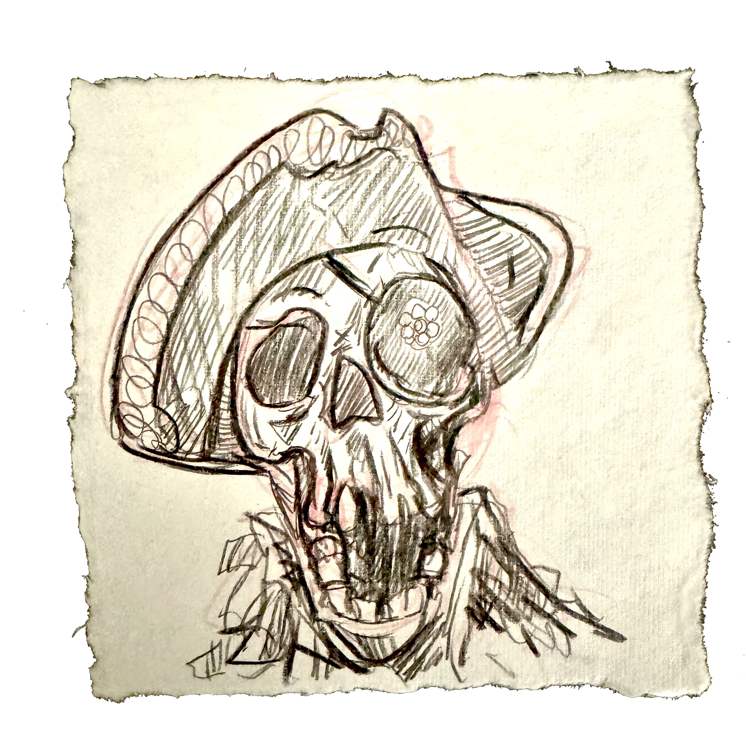 outtaluck artdrop: skull7