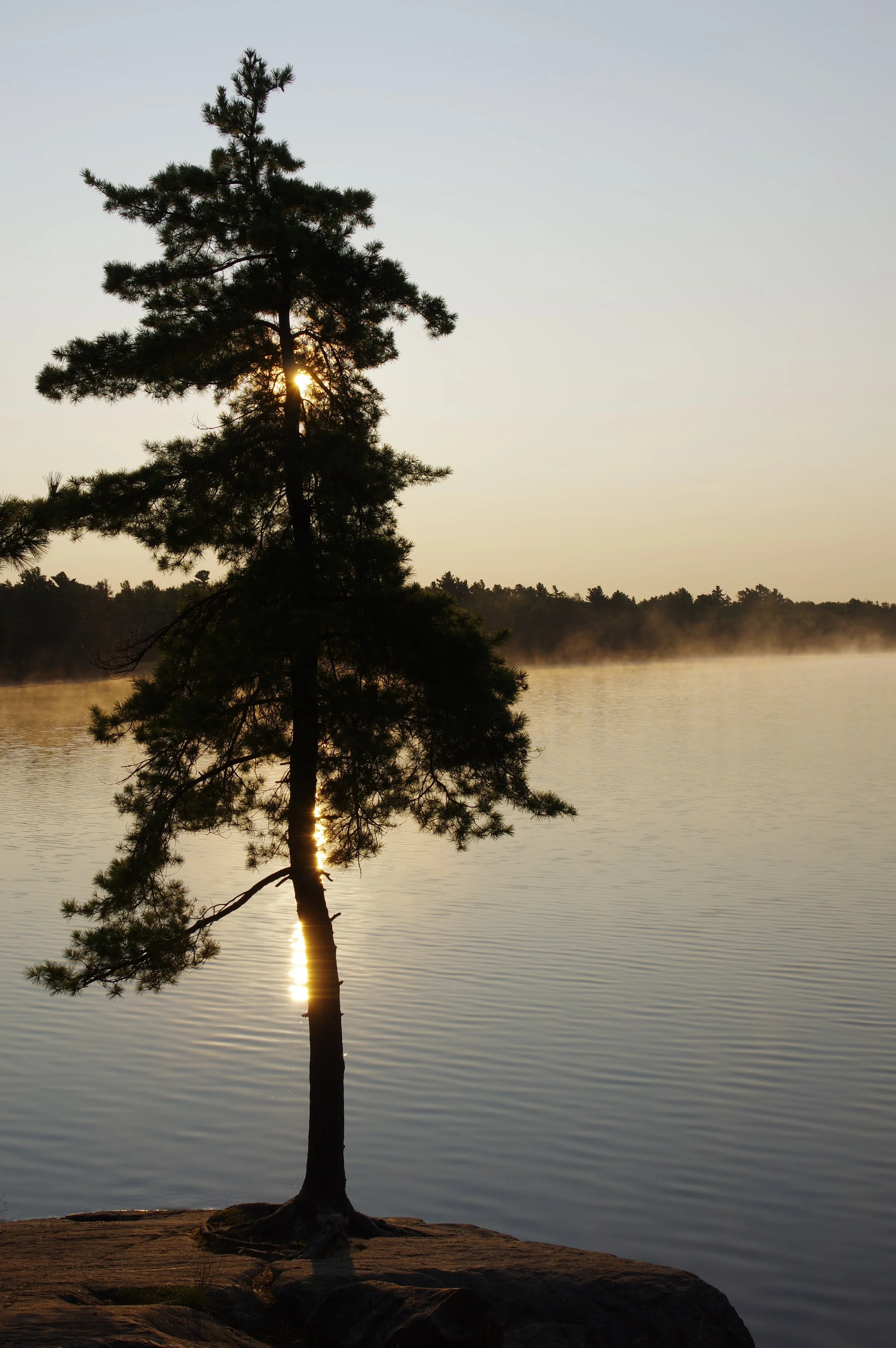 9BBA4AF5-C404-4B63-B971-5505D73E4C30.jpeg
