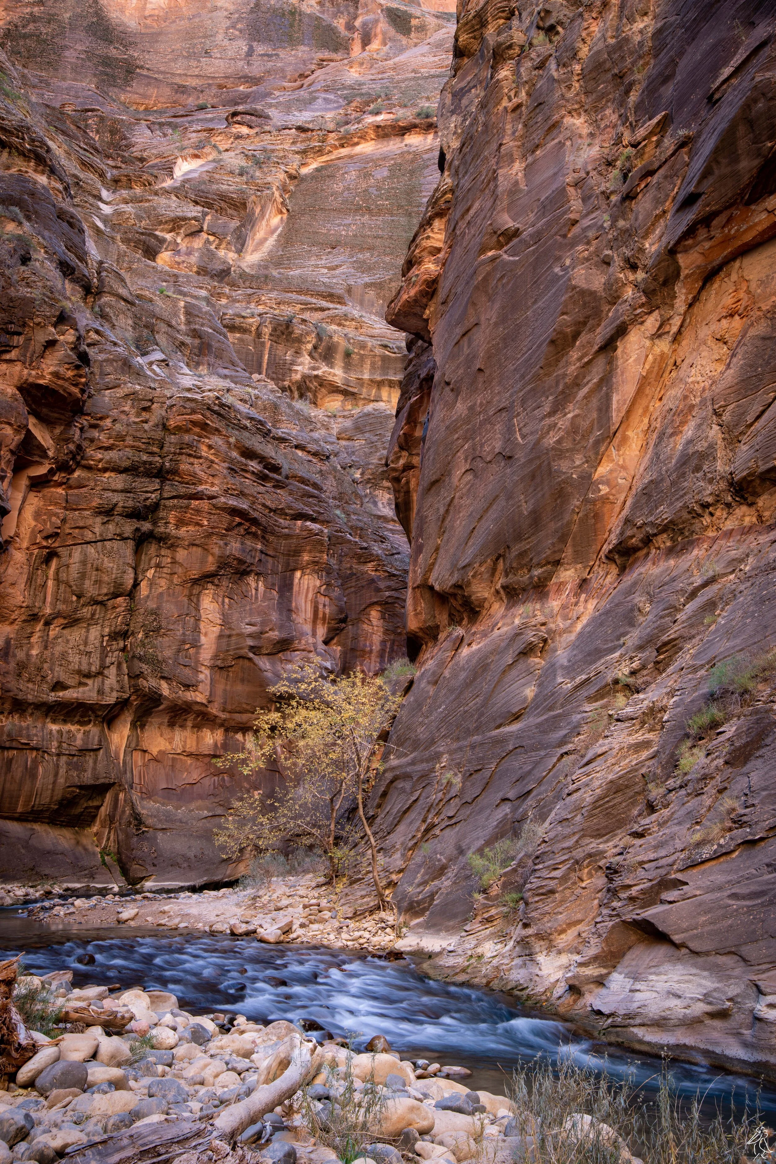 19.Virgin River Flow.jpg