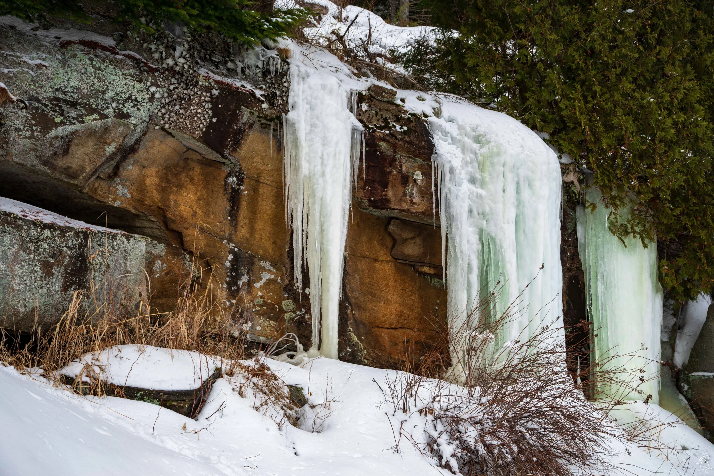 20.Algonquin Winter.jpg