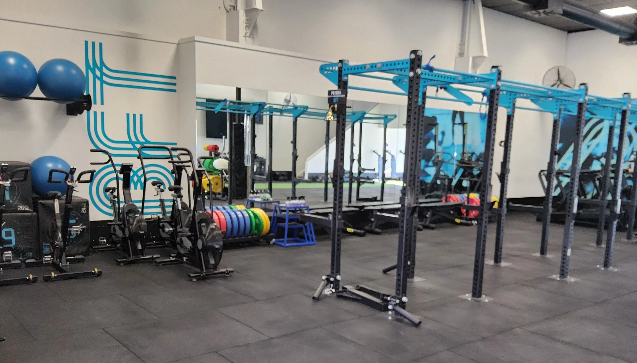 BFT High End Gym Equipment Clearance