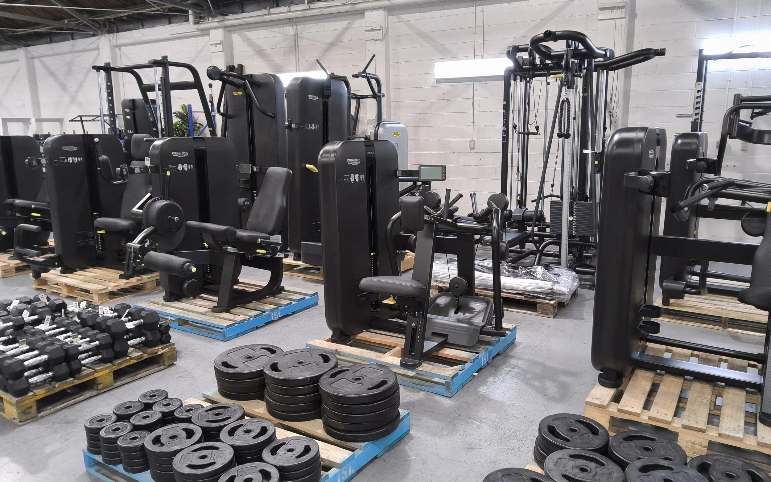 Koha Fitness &amp; Health Club High-Quality Gym Equipment Clearance