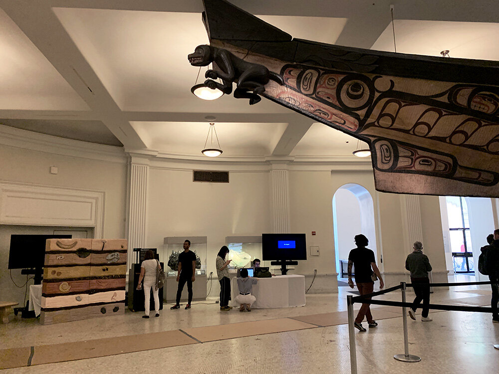  The Grand Gallery - American Museum of Natural History 2019 