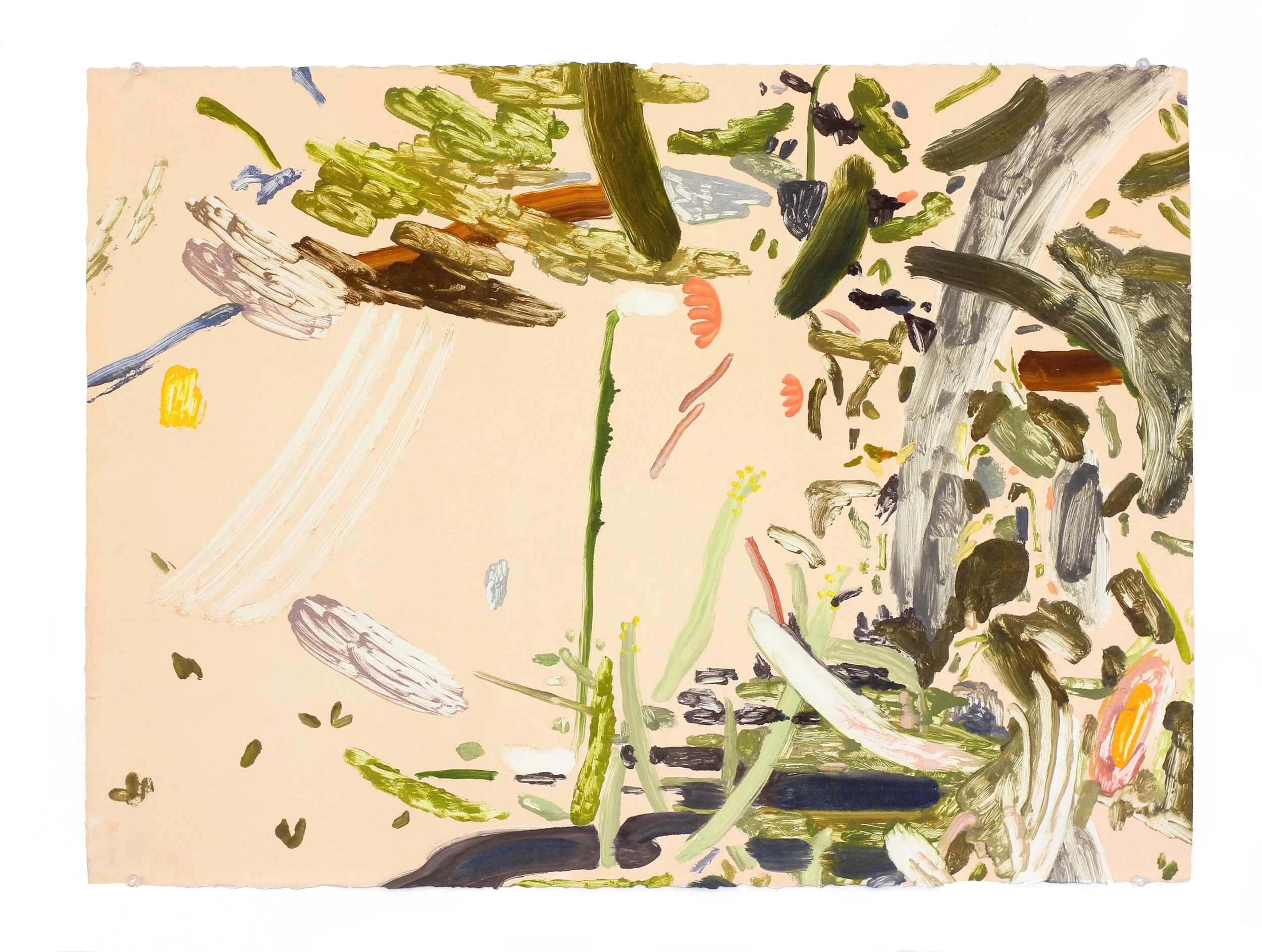 peach monoprint , monoprint, 30” x 20”, 2014
