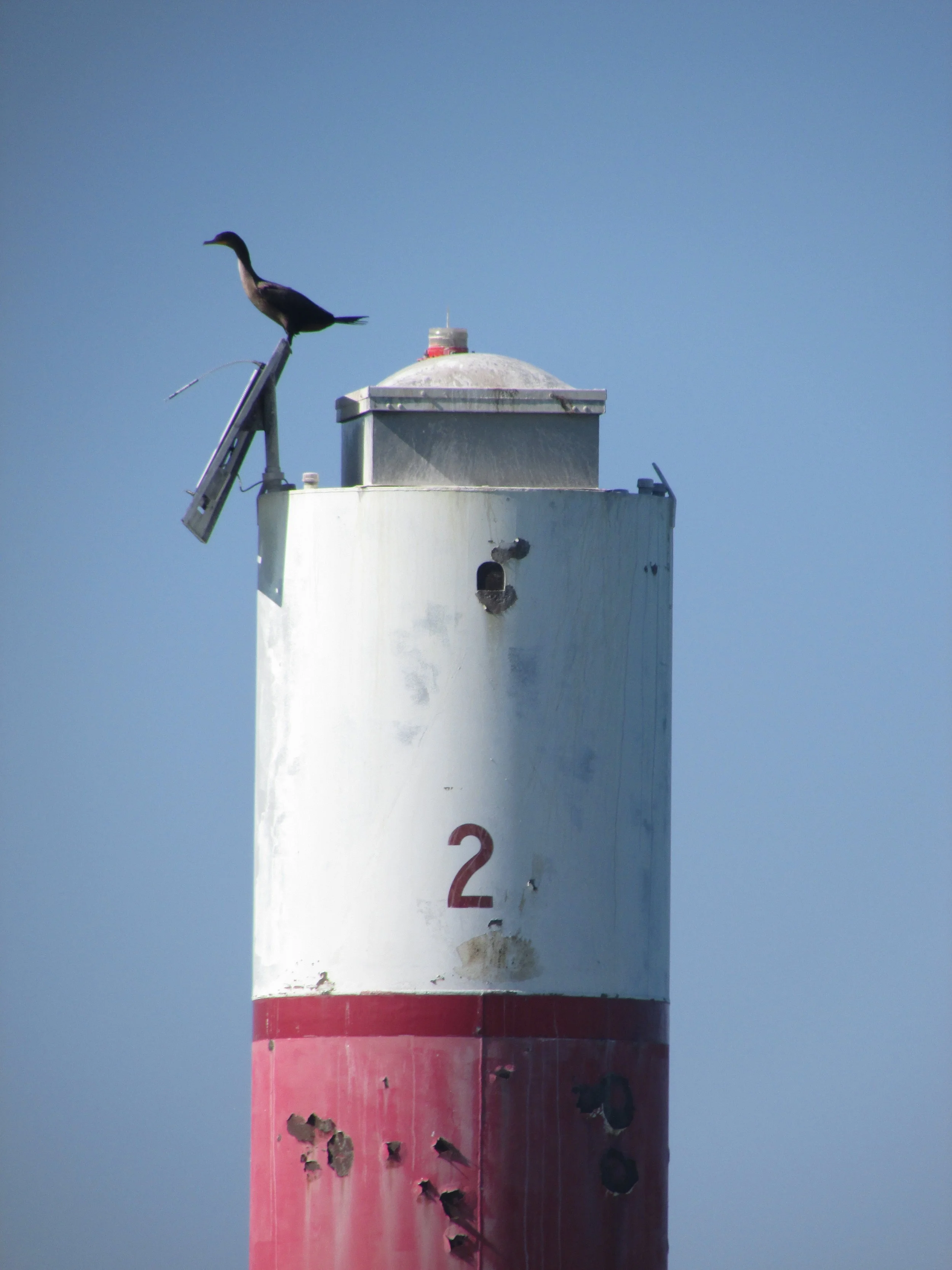 IMG_0740.JPG