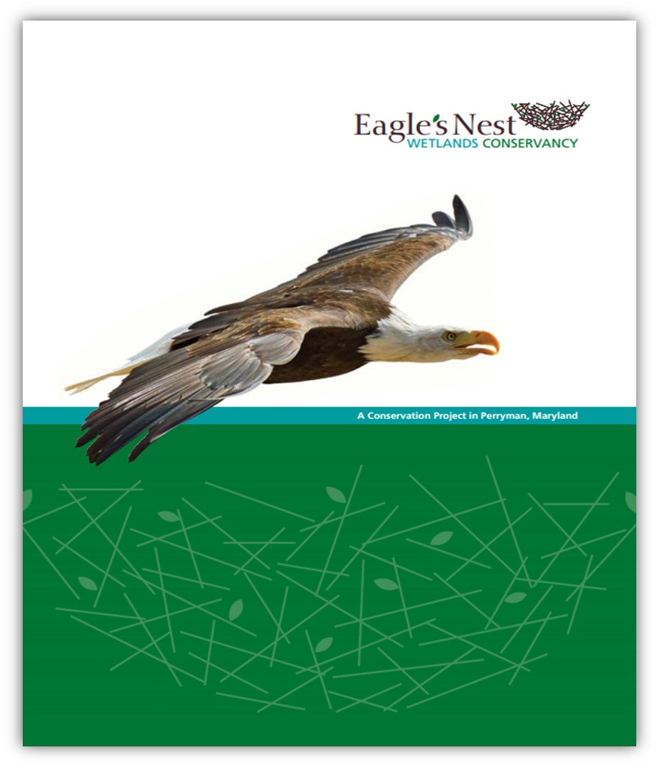 EaglesNest cover.jpg