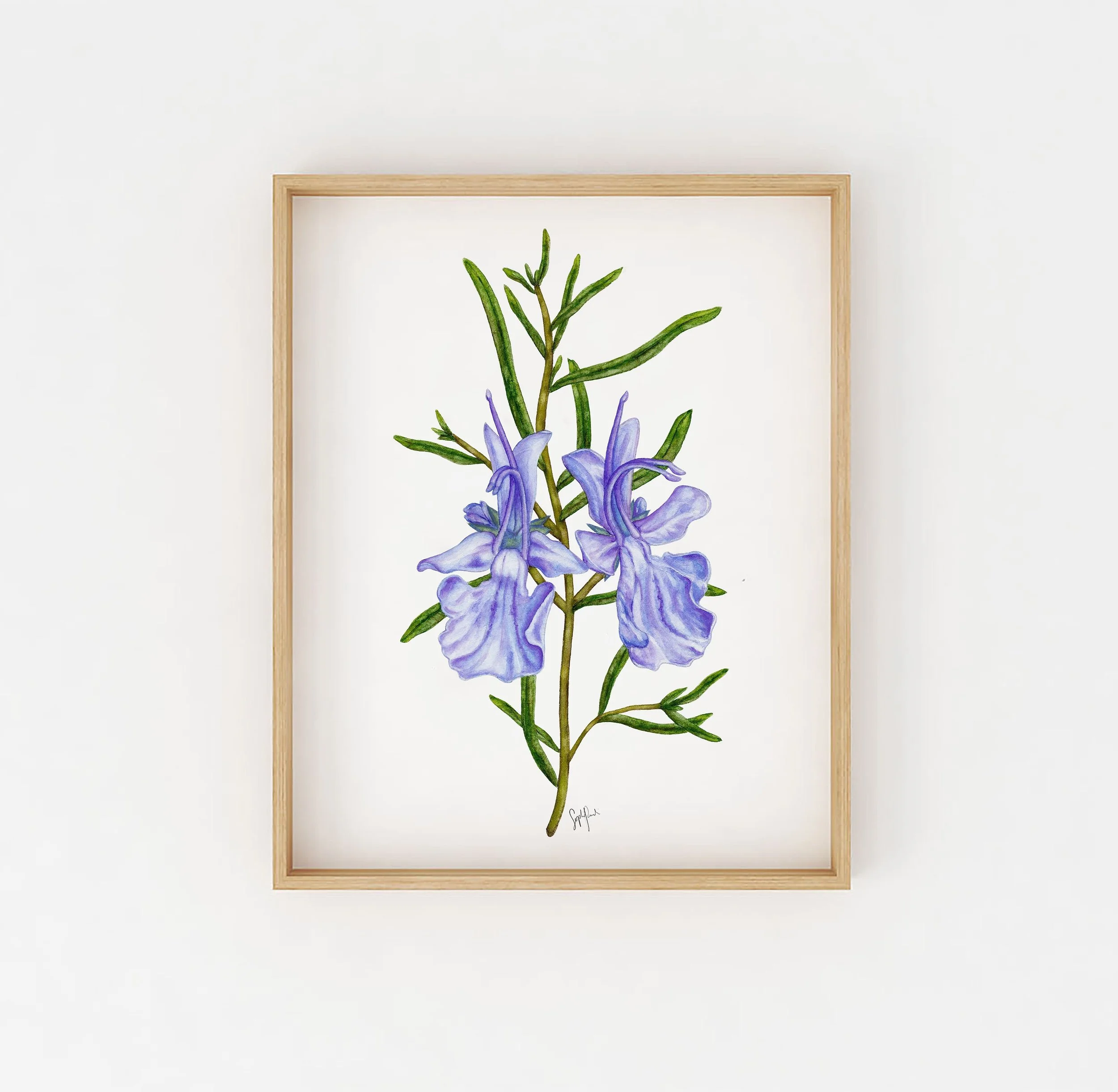 https://i.etsystatic.com/20968067/r/il/465c75/2030685233/il_fullxfull.2030685233_jwut.jpg