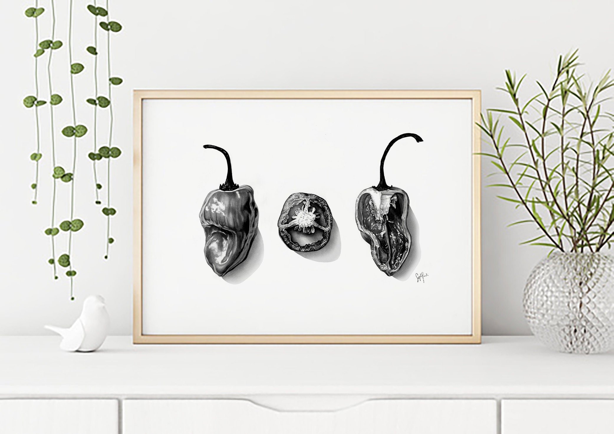 https://i.etsystatic.com/20968067/r/il/c83a3e/2030702451/il_fullxfull.2030702451_ddur.jpg