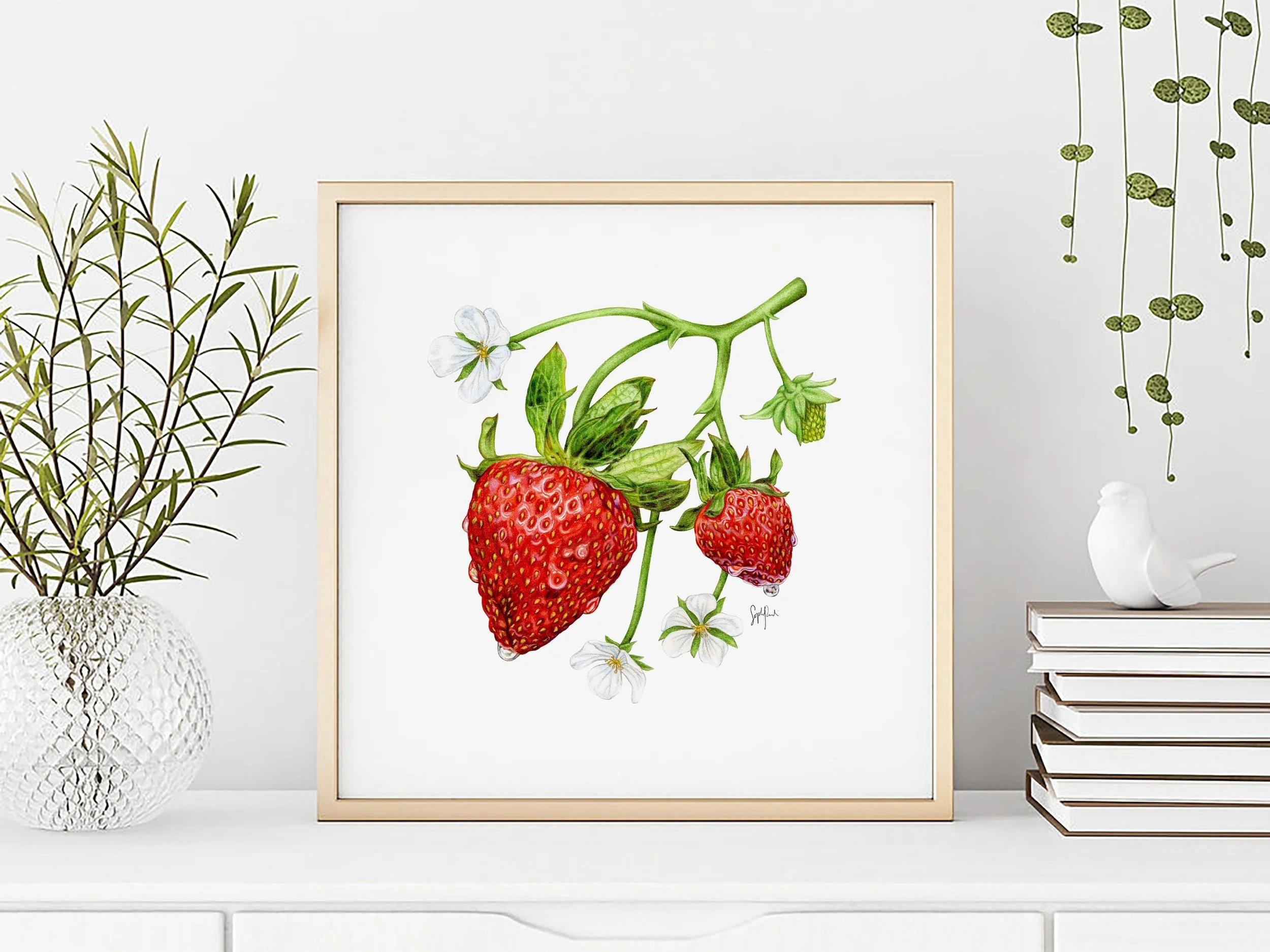 https://i.etsystatic.com/20968067/r/il/dfe8af/2030705341/il_fullxfull.2030705341_fad5.jpg