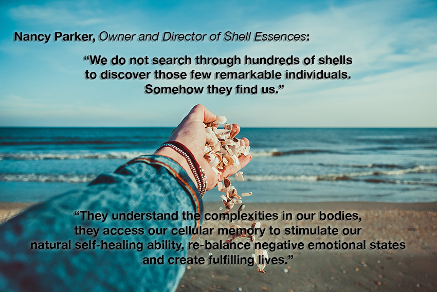 shell essences quote.png