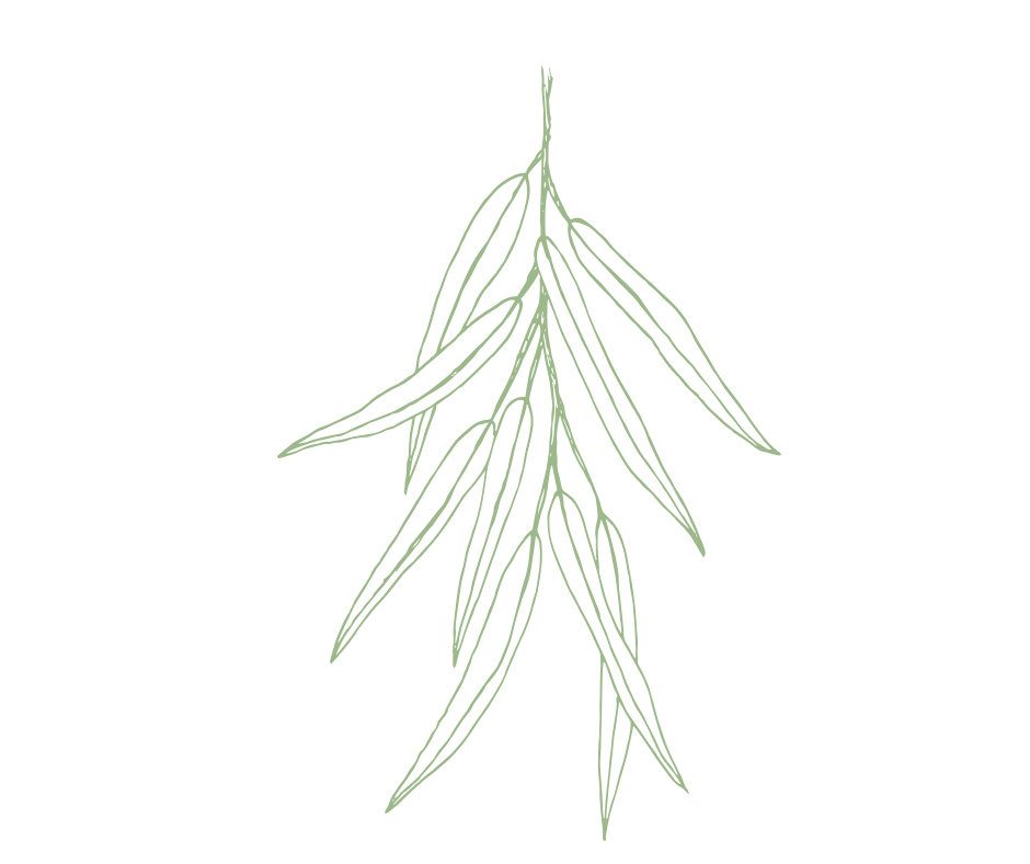 green flower upside down.png