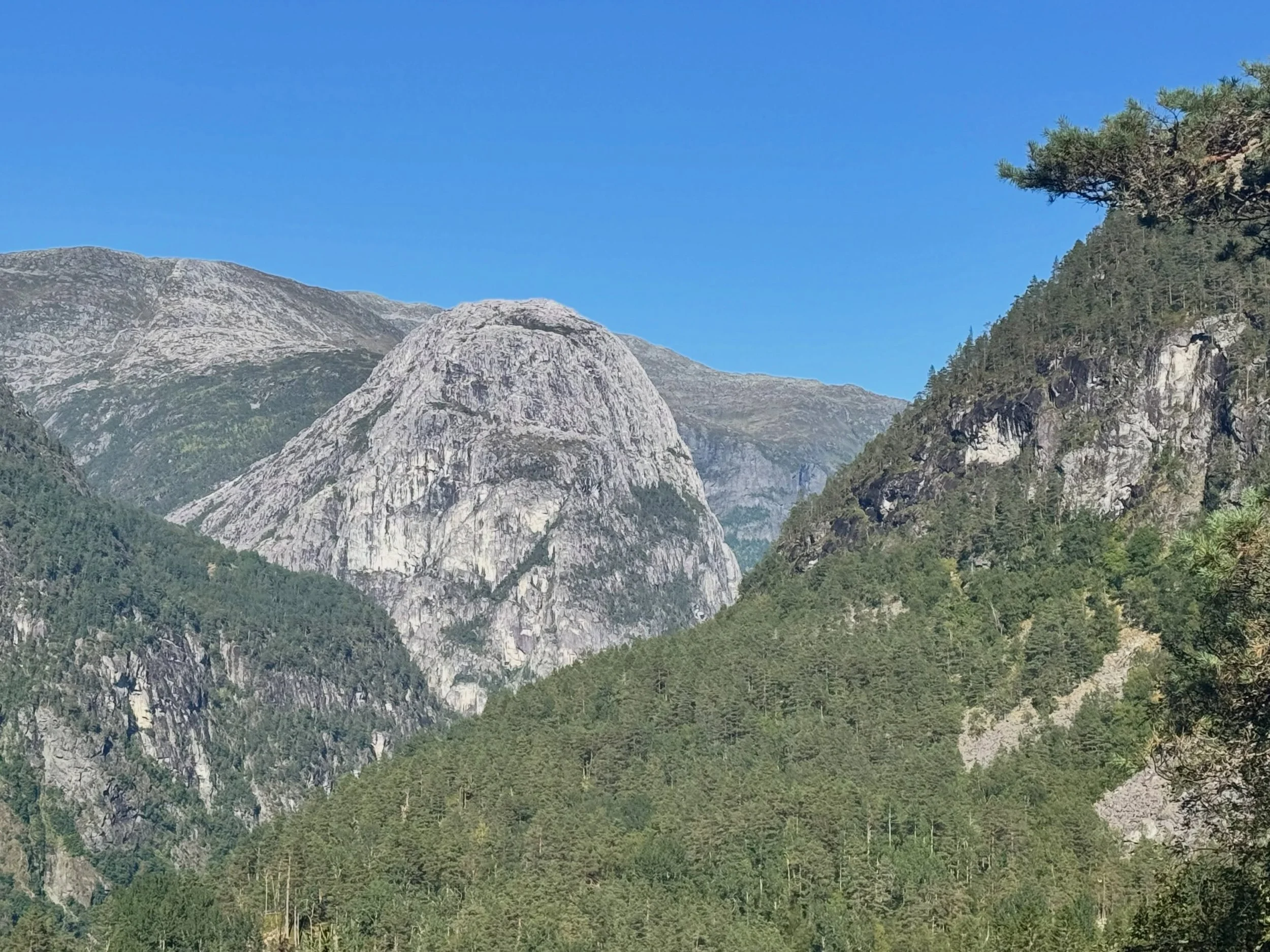 Trekking across Norway 🇳🇴: Last three days I was focused on video and kinda forgot to take any stills. Might take a look at my recent stories before they vanish. 🏕️✨ Just got resupplied w my favorite pack staples, plus a big plug of whale sausage 