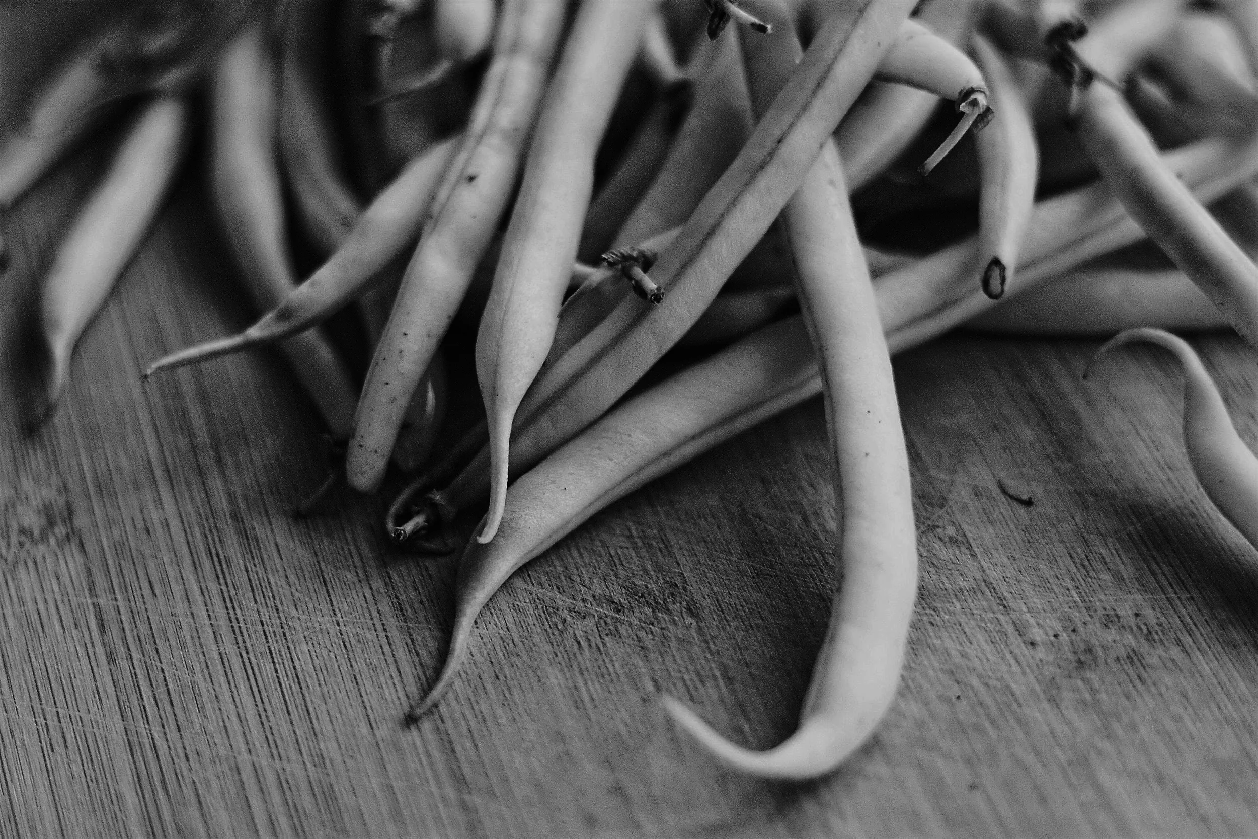 bean-pods-beans-food-81920.jpg