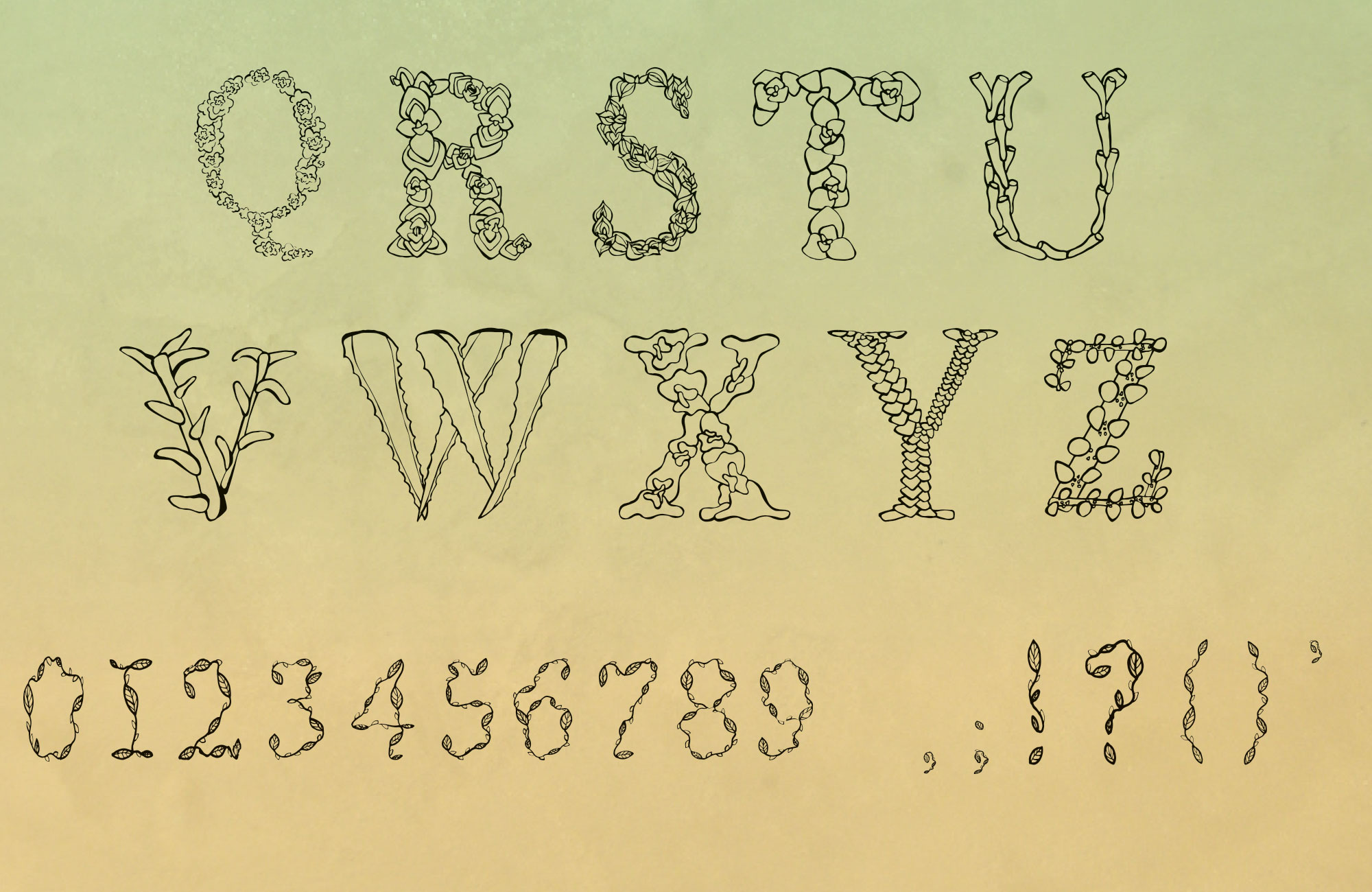 font-close-up1.jpg
