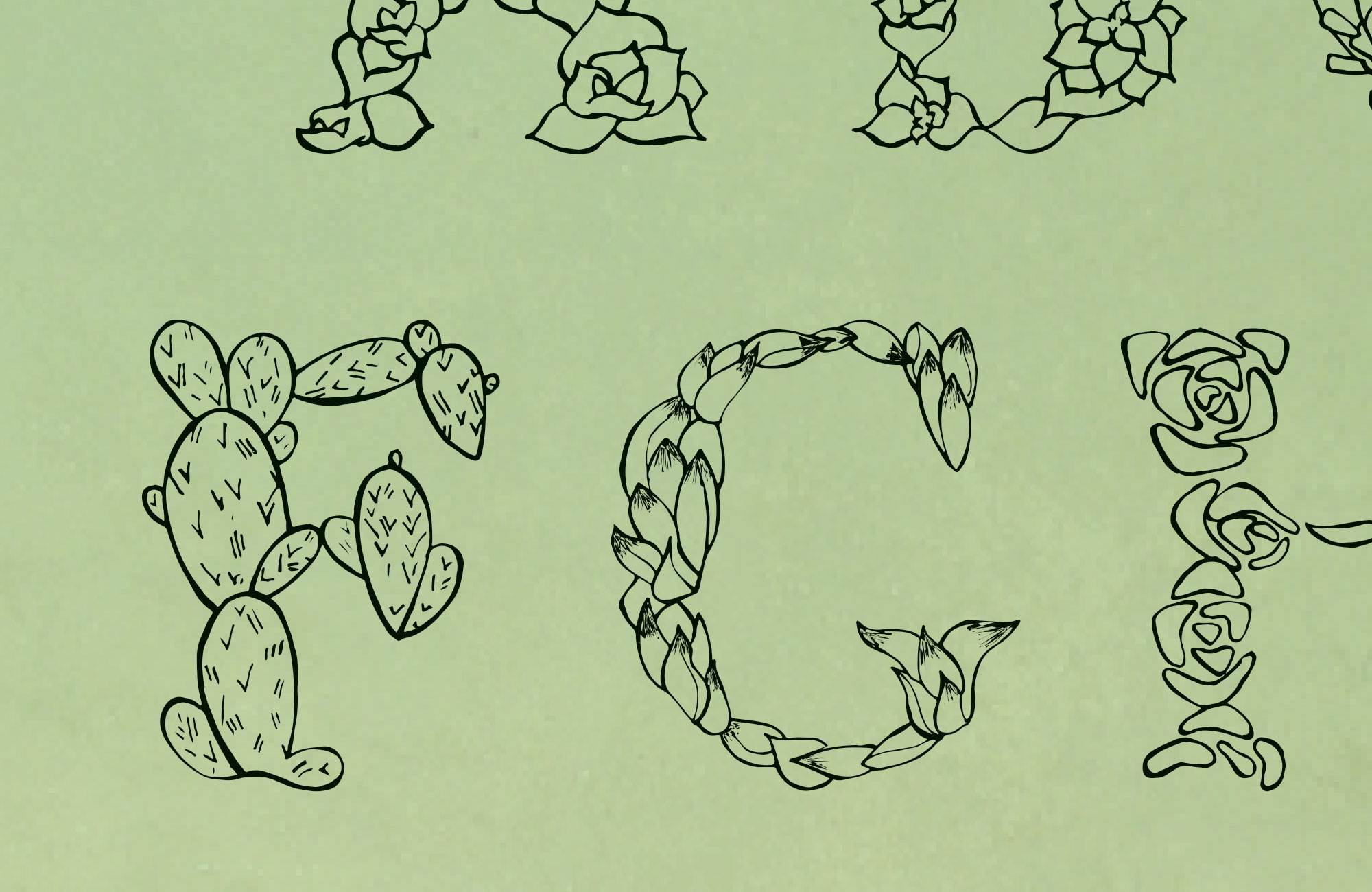 font-close-upF.jpg