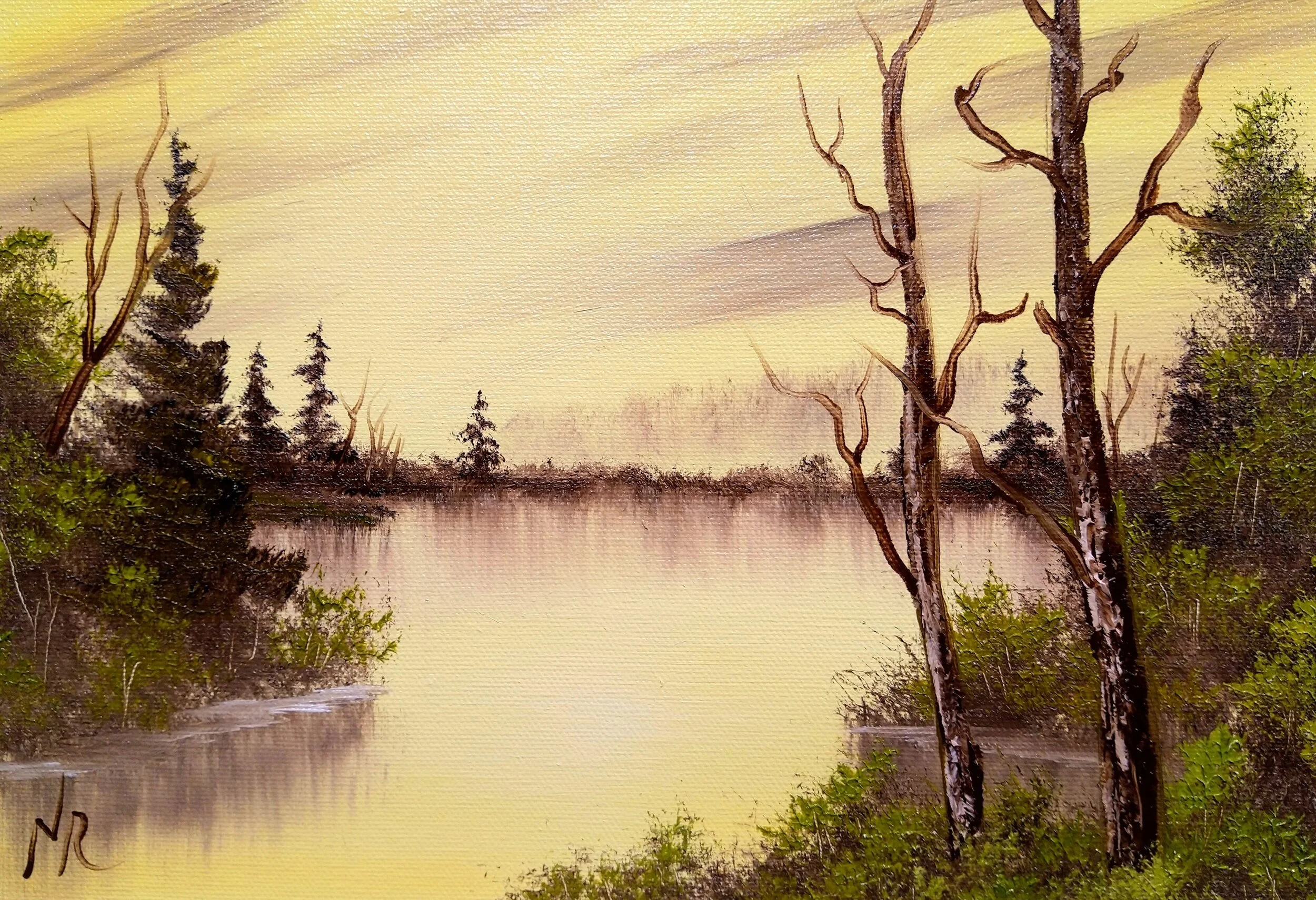 Golden Glow | Mar. 13, 2020