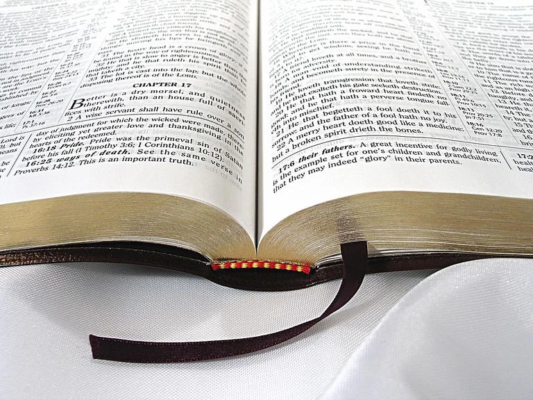 King-James-Bible-58b5c8753df78cdcd8bbbfef.jpg