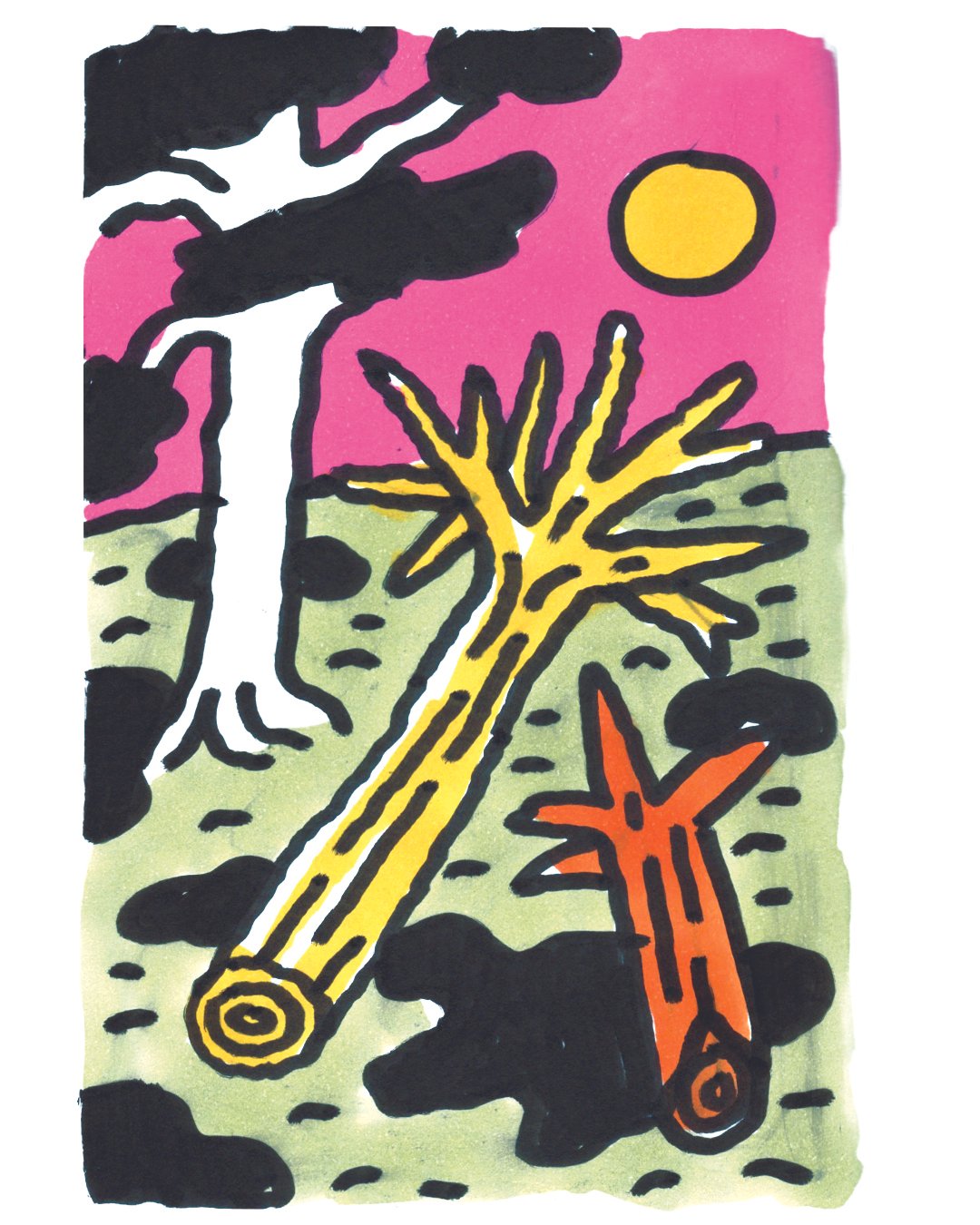 FallenTrees.jpg