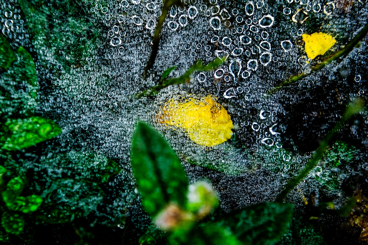 MORNING DEW 3, Boothbay, Maine