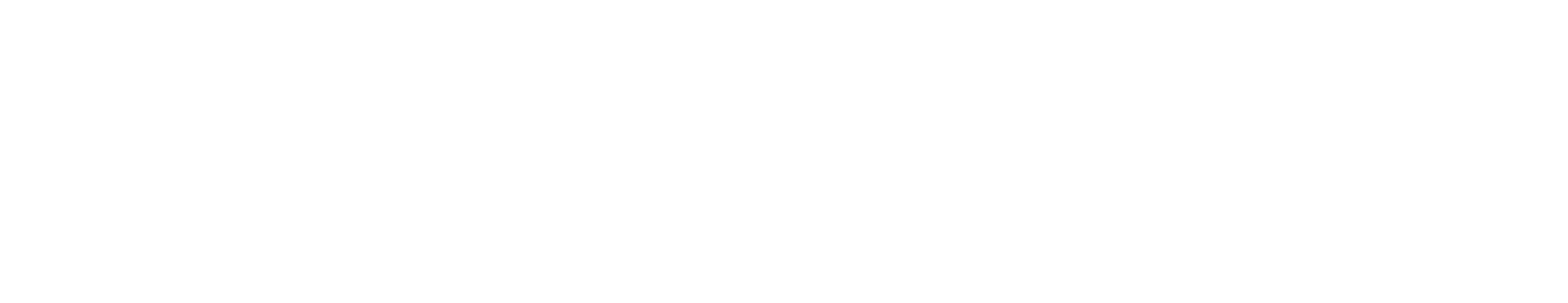 HaGesher - Logo White.png
