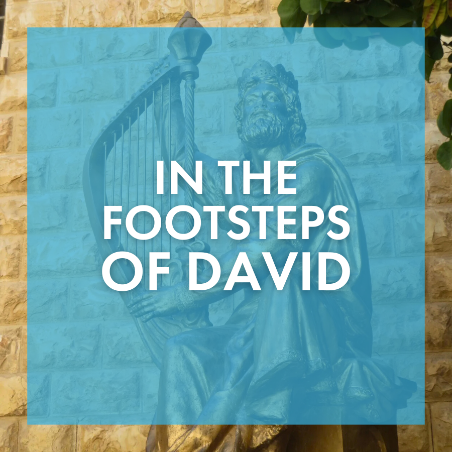 In the Footsteps of David.png