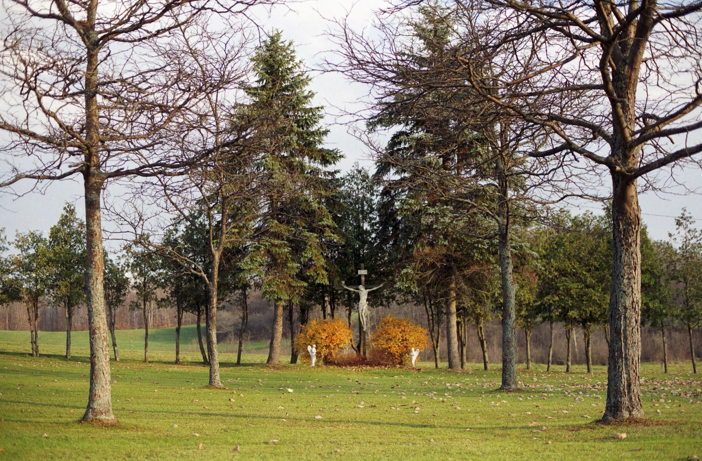 camuglia_memorial5.jpg
