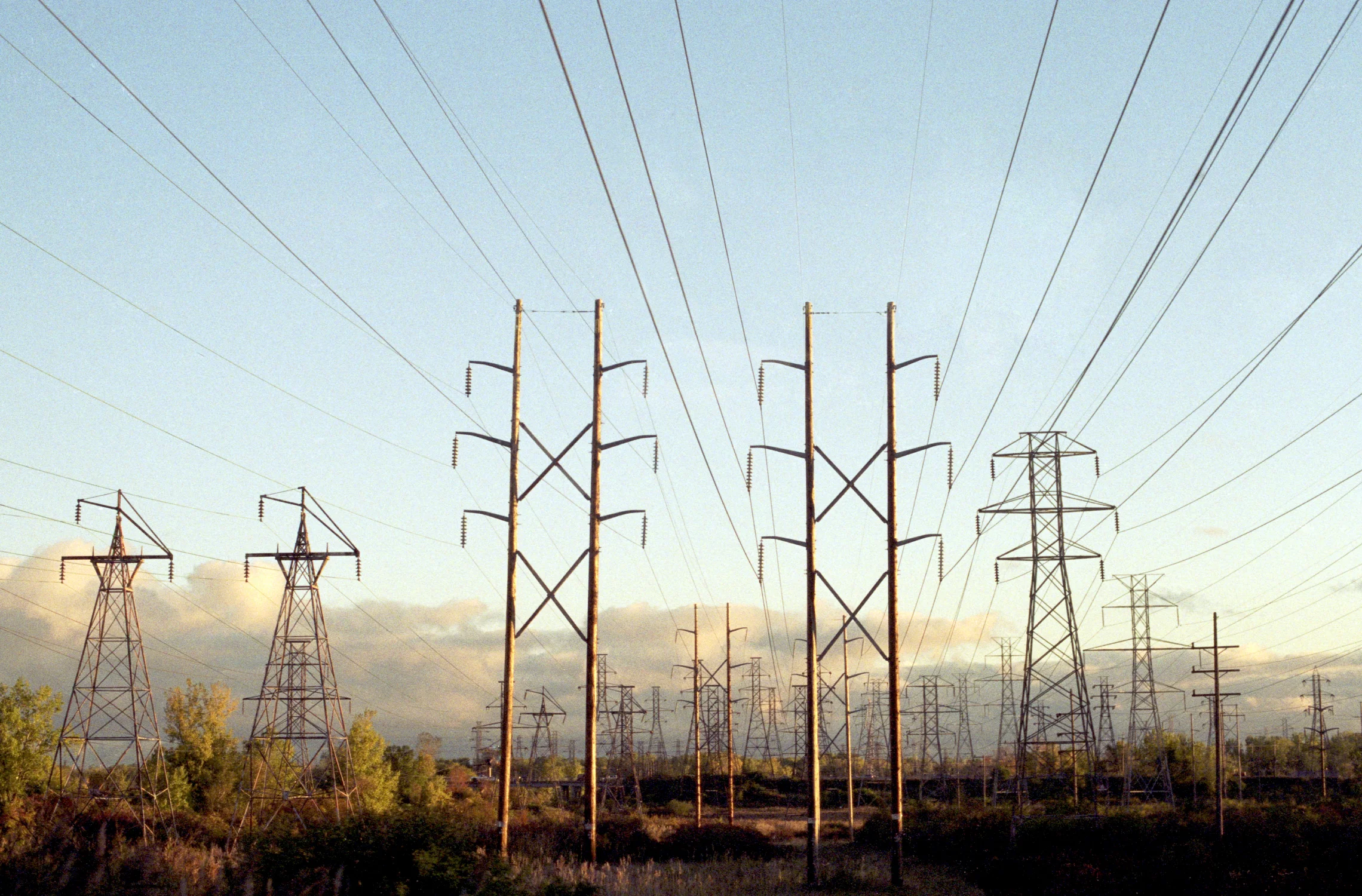 camuglia_show011-pylons5.jpg