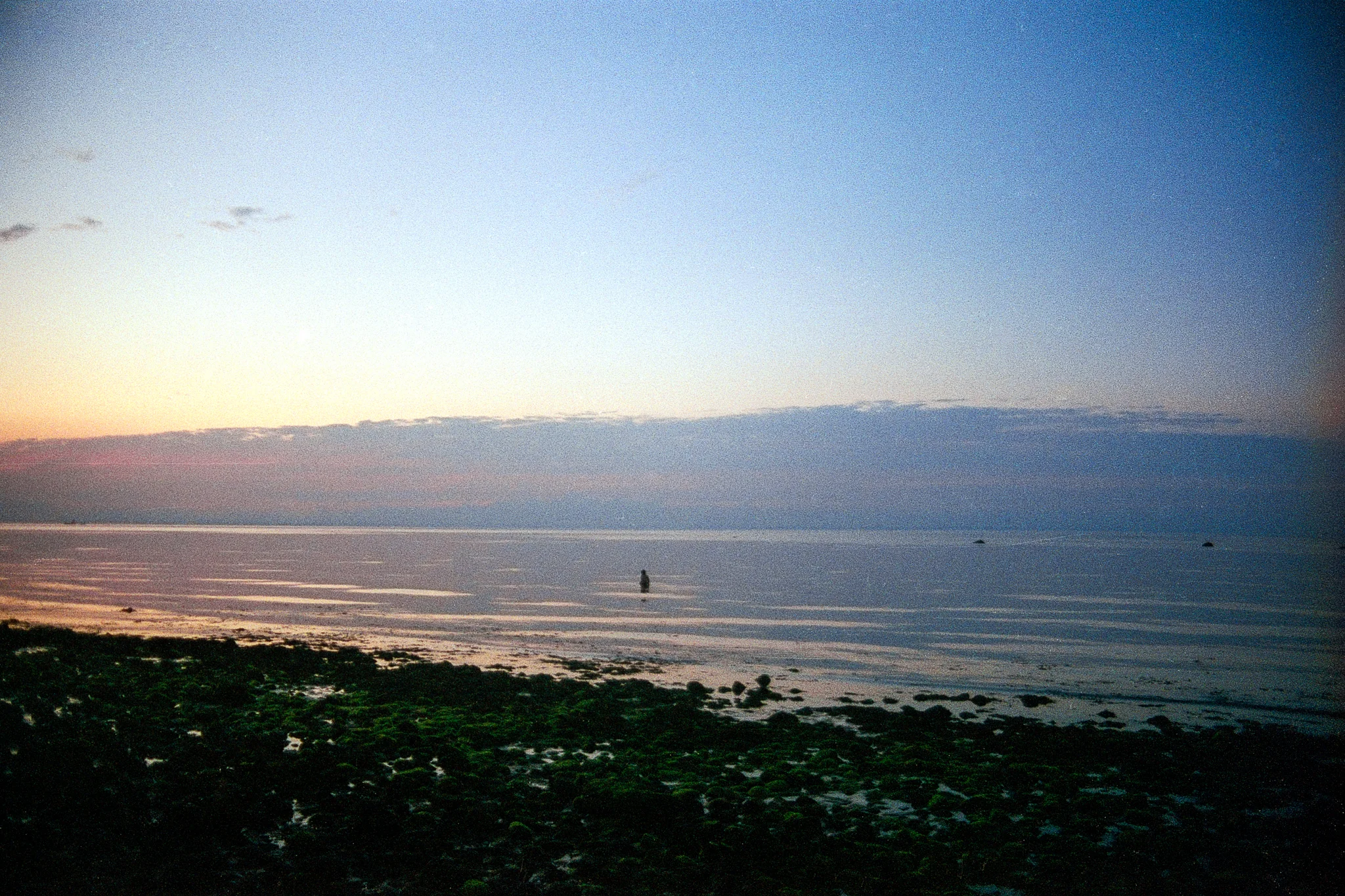 camuglia-16.02-10_2048.jpg