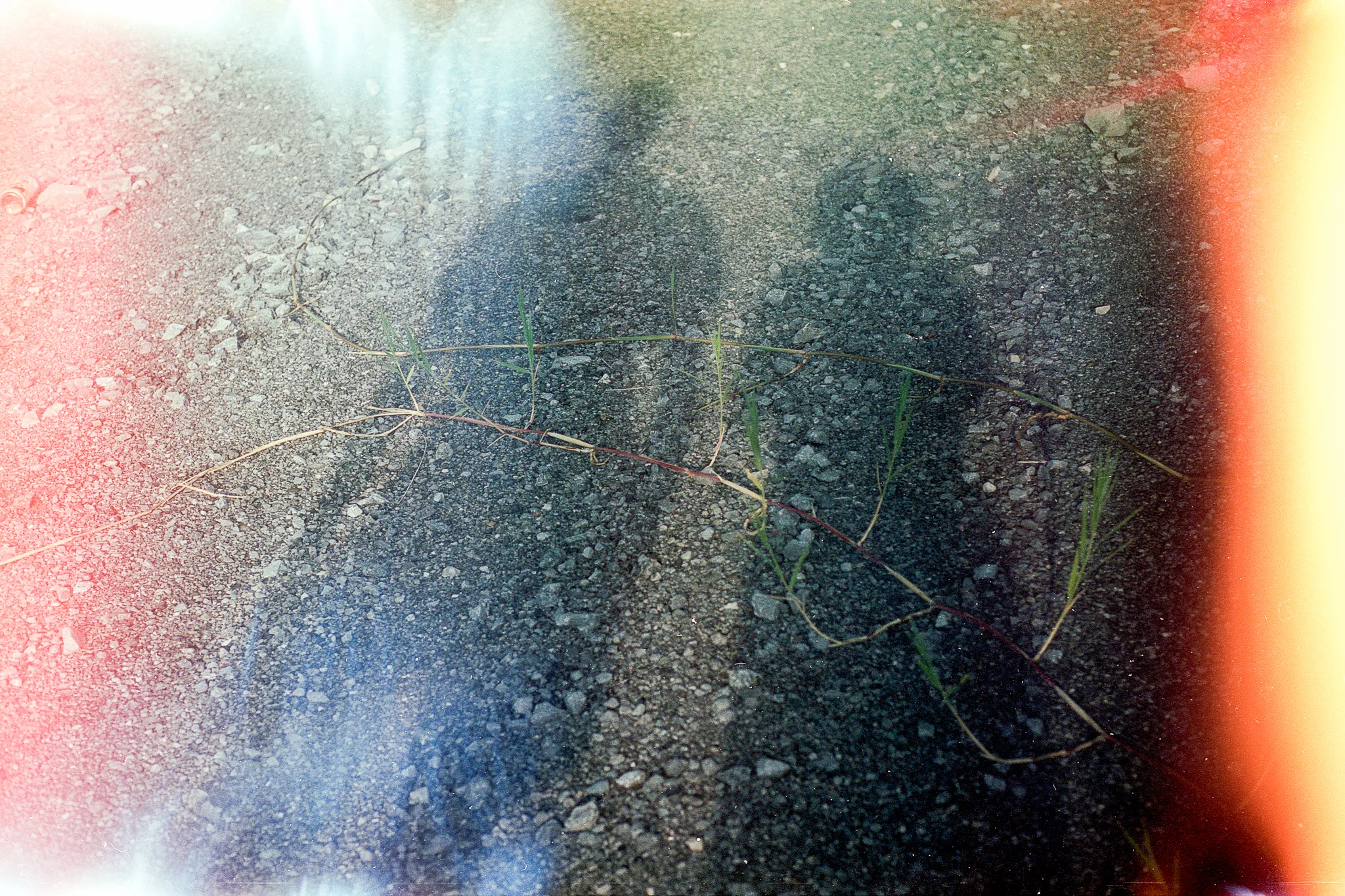 camuglia-16.12-28_2048.jpg