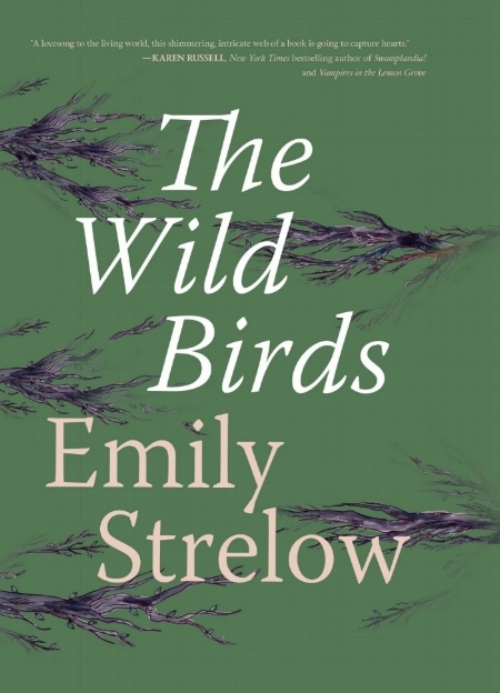 Debut novel out March 13, 2018 with Rare Bird Books Available to order at Powell's , Barnes and Noble and Amazon .
