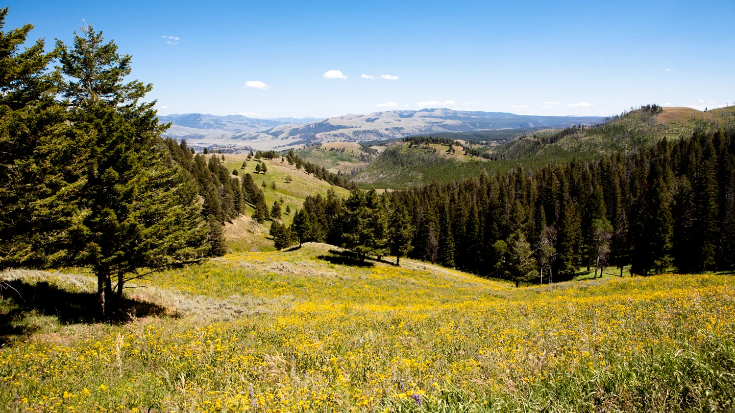 _MG_9570.jpg