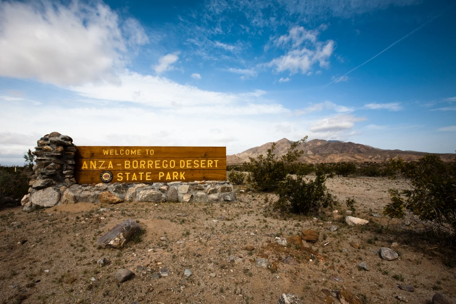 _MG_7425.jpg