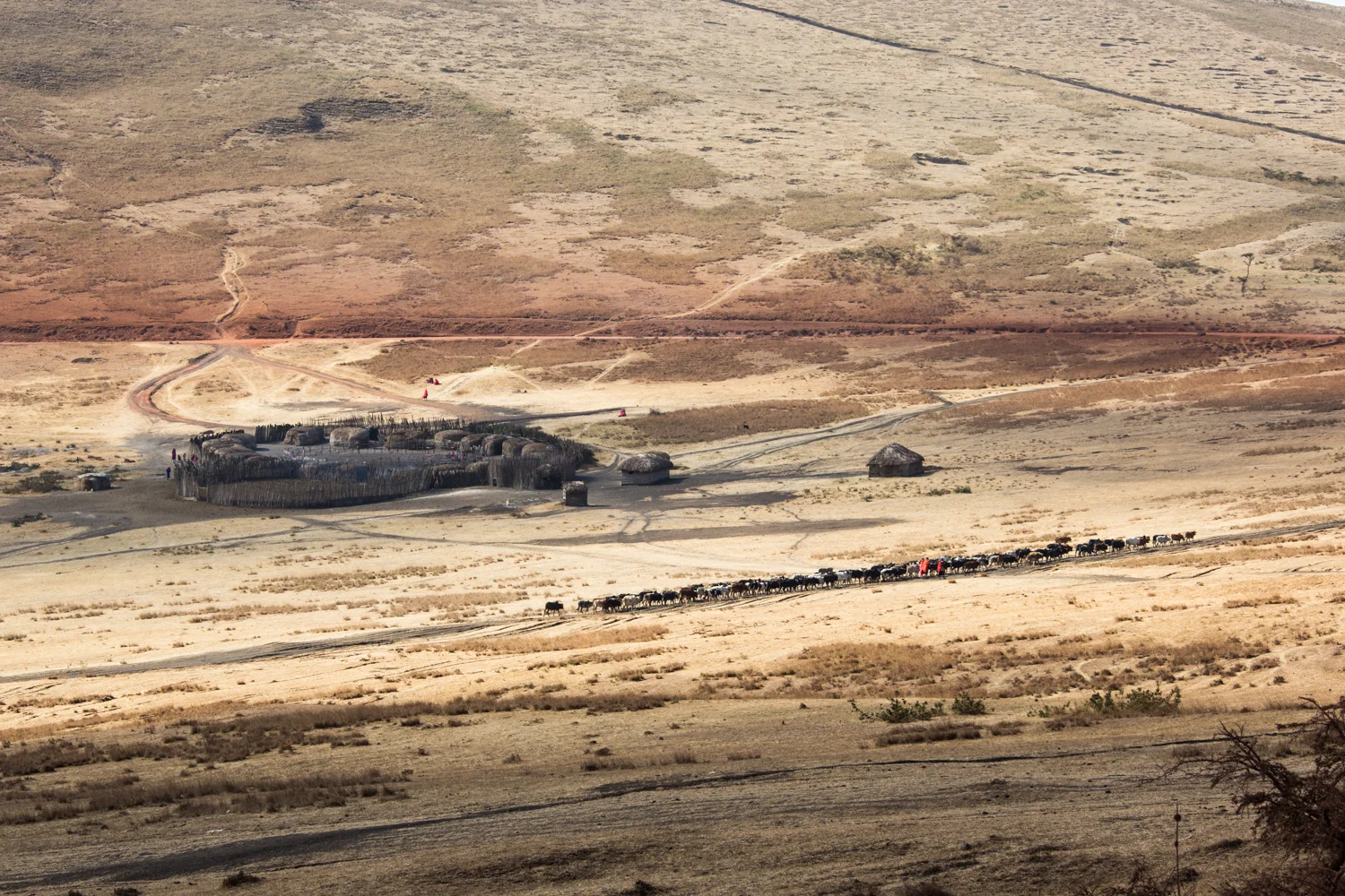 Olduvai 003.jpg