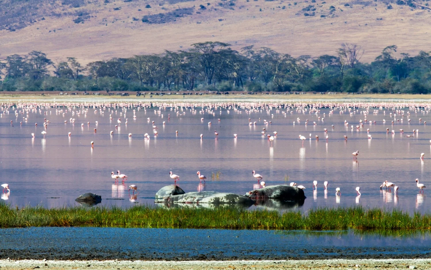 Ngorongoro+050.jpg