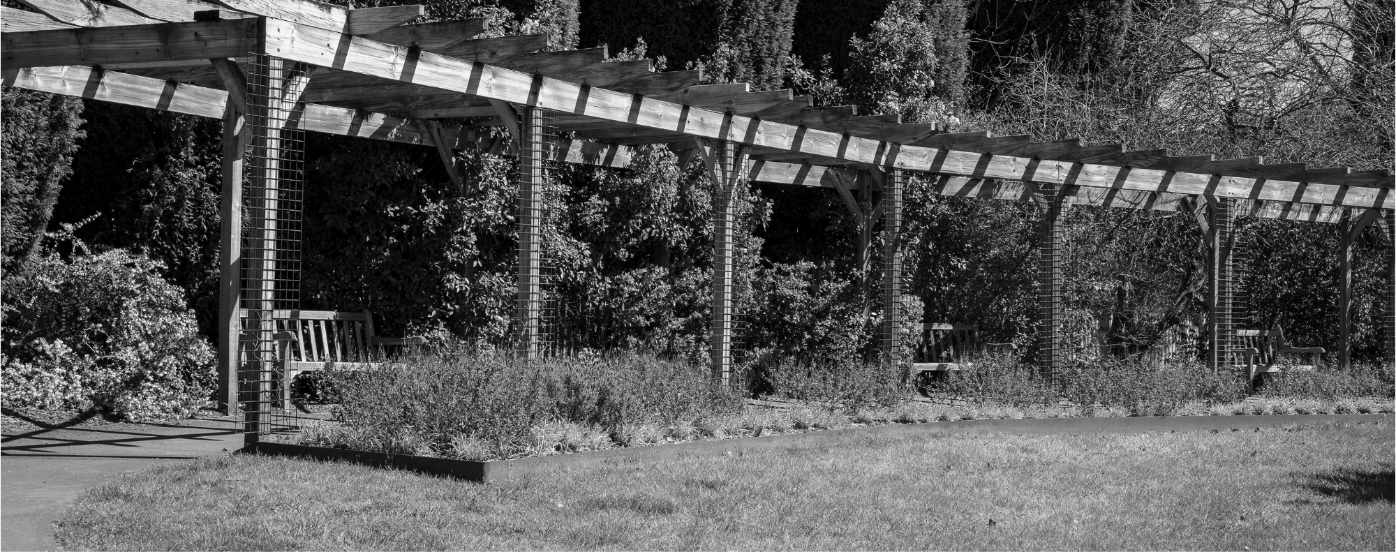 Project - Lion’s Park