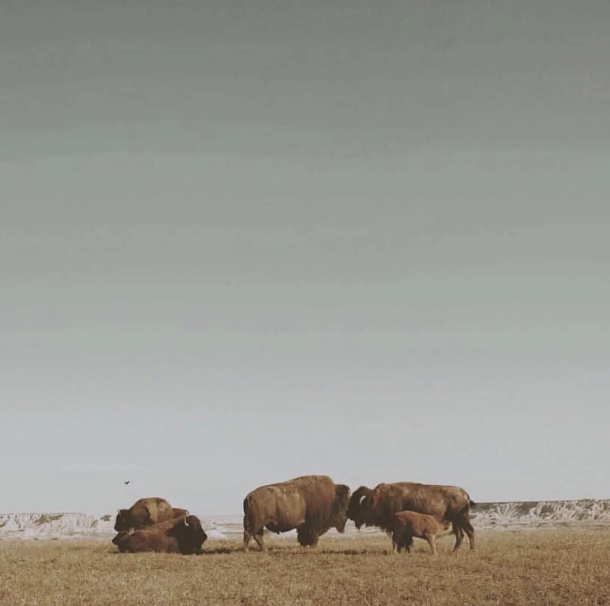 Choosing A New Guide For The Season