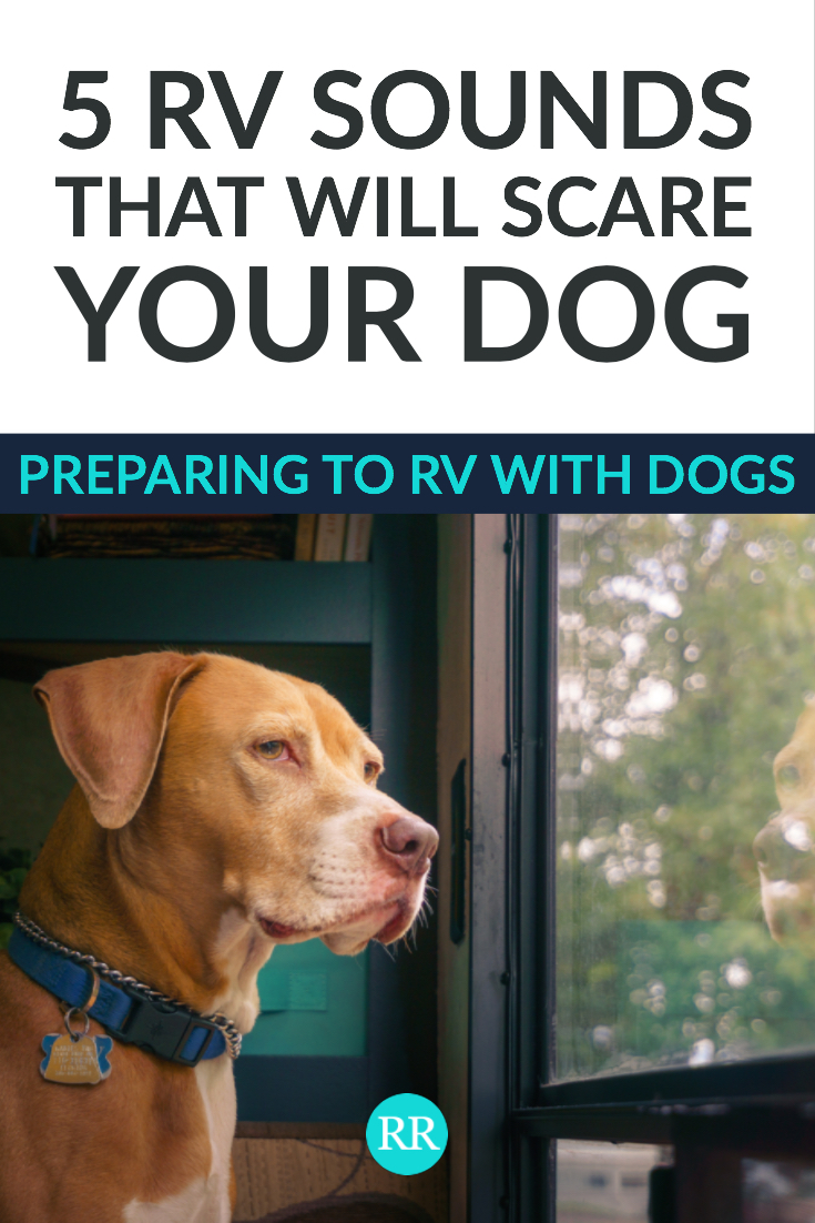 RVing with Dogs.jpg