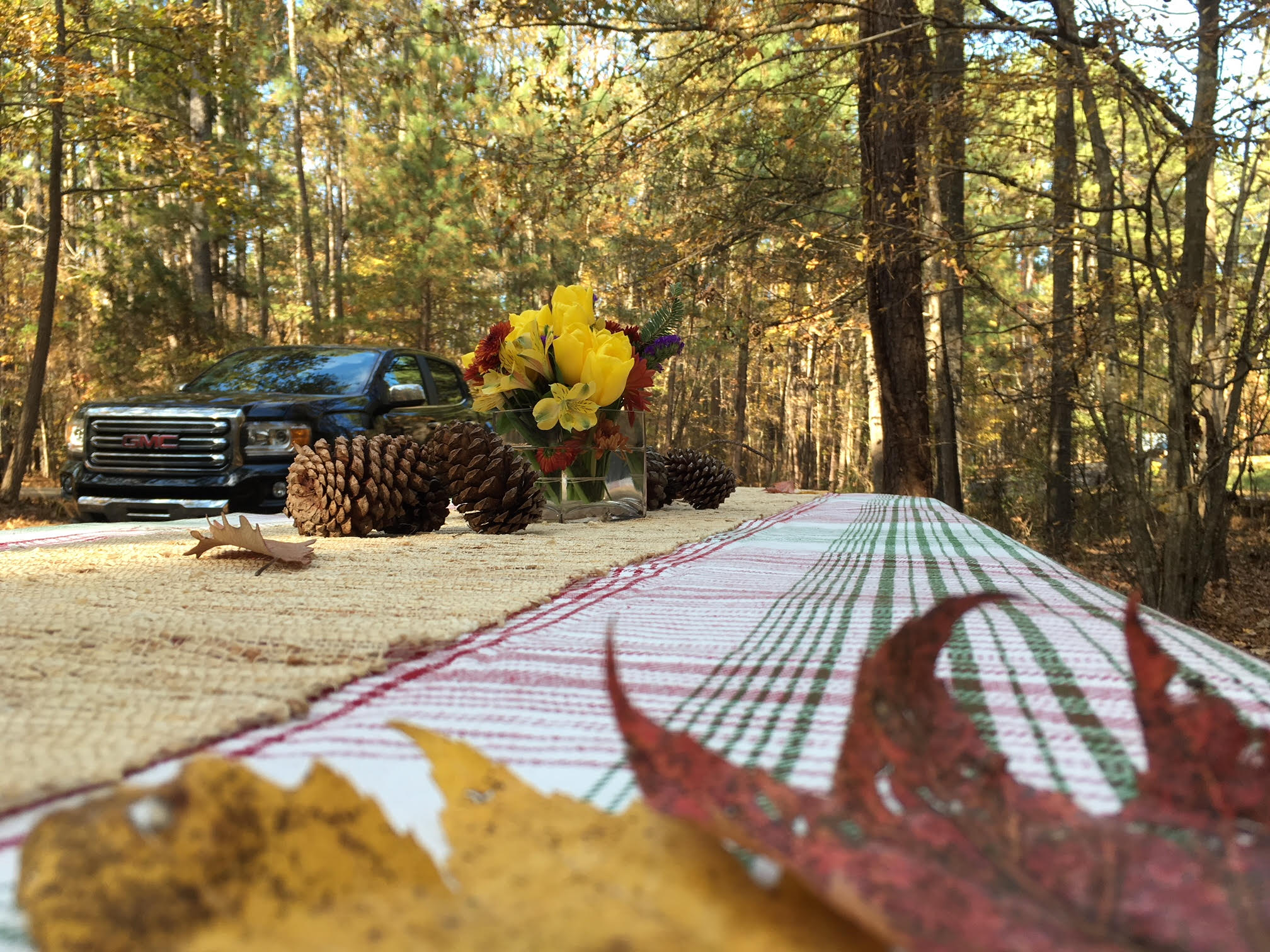 We had a wonderful, bug-free, first Thanksgiving out on the road. This was our table for our own little 2-person Thanksgiving in North Carolina.