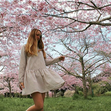 spring-blooms-auckland