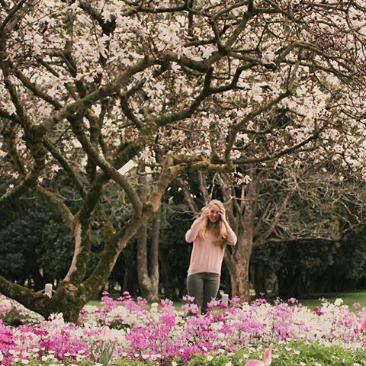 spring-blooms-auckland