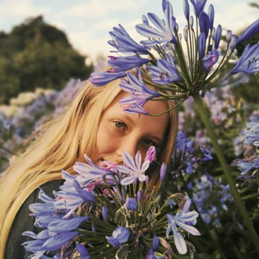 spring-blooms-auckland