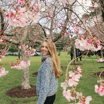 spring-blooms-auckland