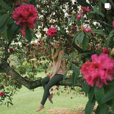 spring-blooms-auckland